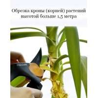 Обрізка (чистка) крони або коренів рослини понад 1,5 м