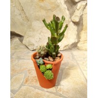 Composition from succulents "Miniature garden"