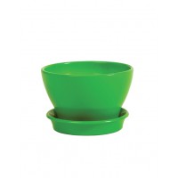 Flowerpot for Saintpaulias Ksenia gloss, 0,5l