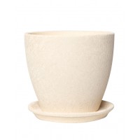 Flowerpot Magnolia silk, 3 l