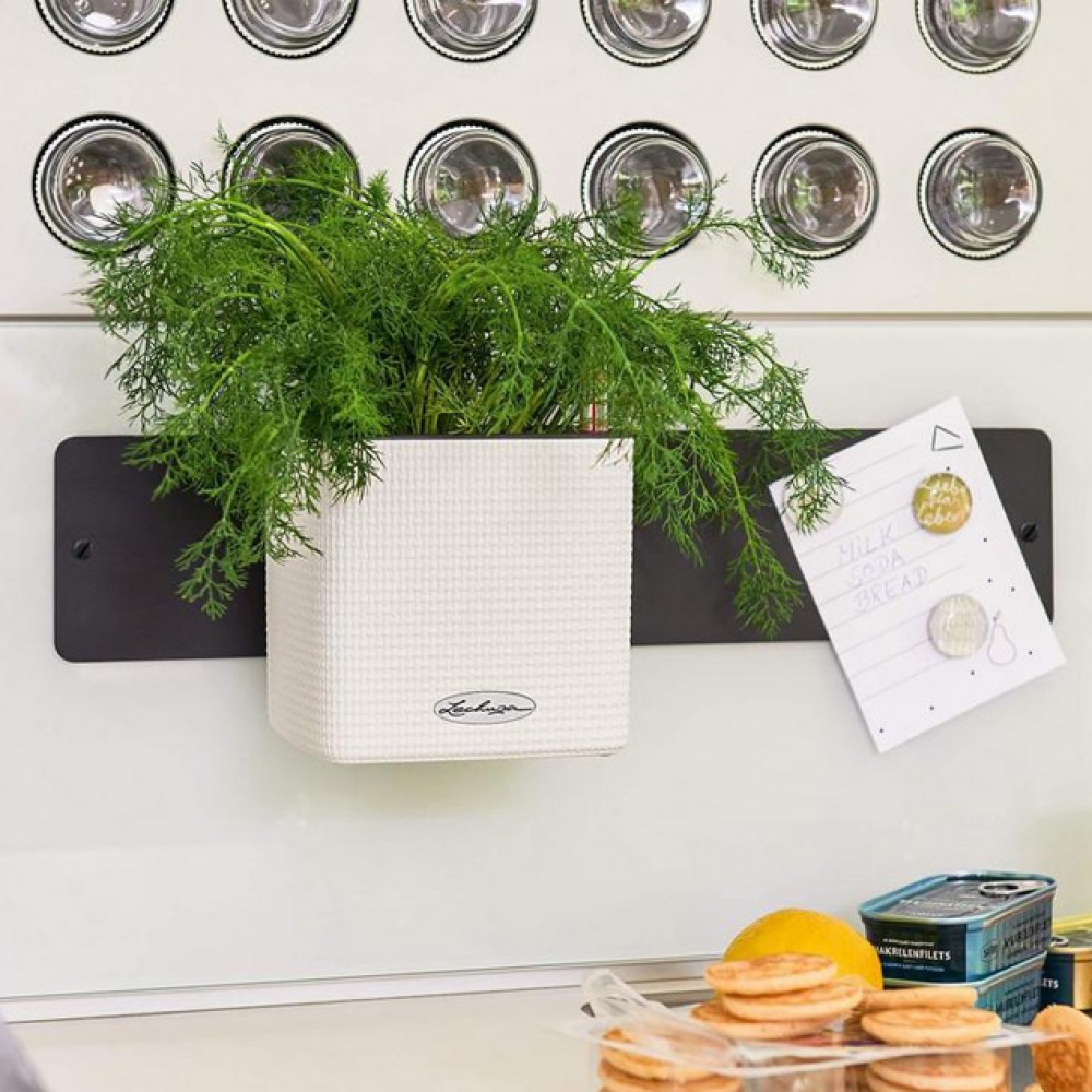 Комплект GREEN WALL Home Kit Color
