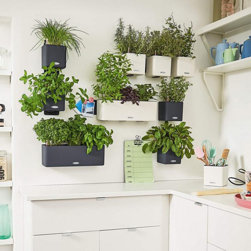 Комплект GREEN WALL Home Kit Color