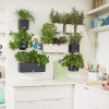 Комплект GREEN WALL Home Kit Color