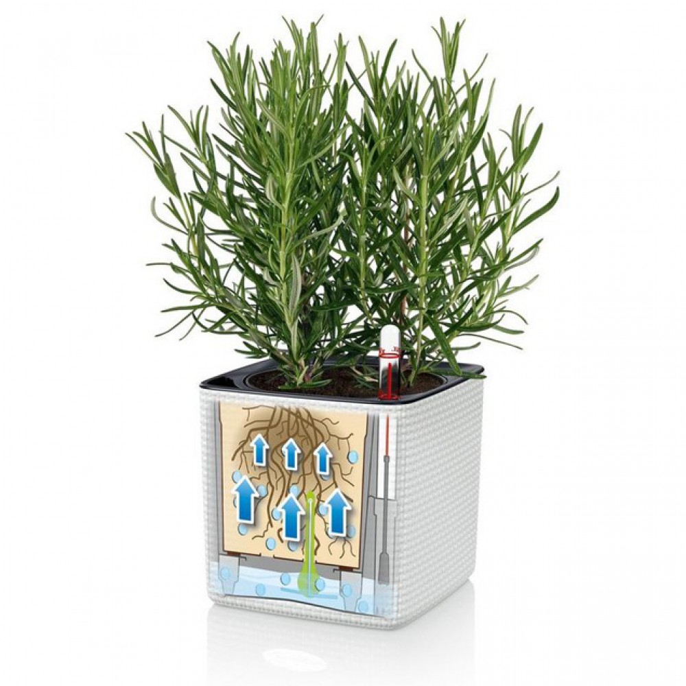 Комплект GREEN WALL Home Kit Color