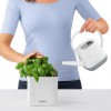 Комплект GREEN WALL Home Kit Color
