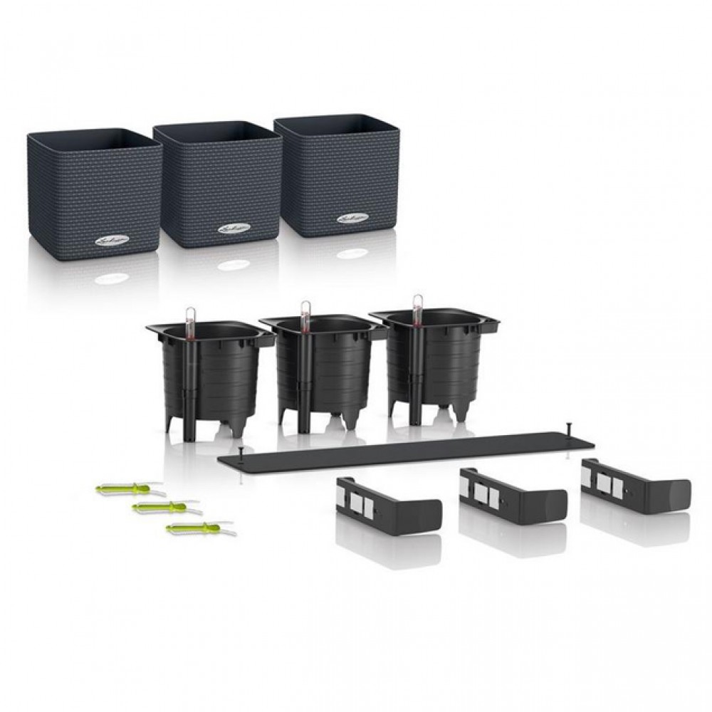 Комплект GREEN WALL Home Kit Color