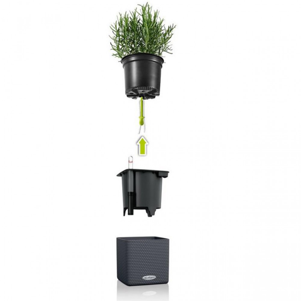 Комплект GREEN WALL Home Kit Color