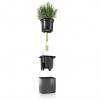 Комплект GREEN WALL Home Kit Glossy Premium
