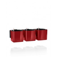 Комплект GREEN WALL Home Kit Glossy Premium