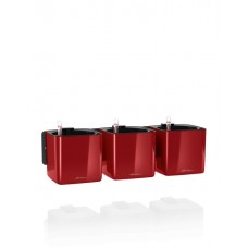 Комплект GREEN WALL Home Kit Glossy Premium