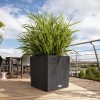 Flowerpot Lechuza CUBE Cottage 30