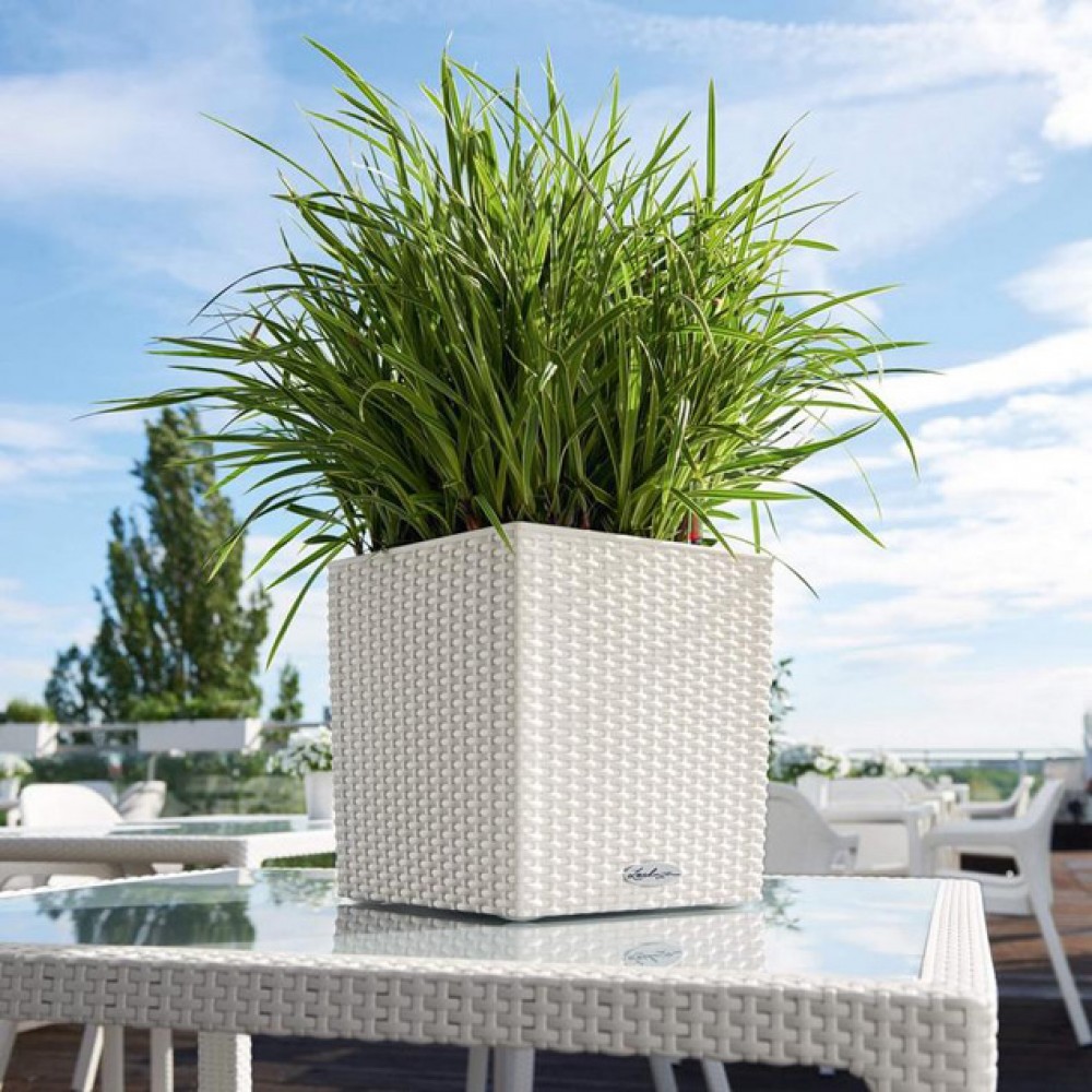 Flowerpot Lechuza CUBE Cottage 30