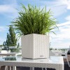 Flowerpot Lechuza CUBE Cottage 30