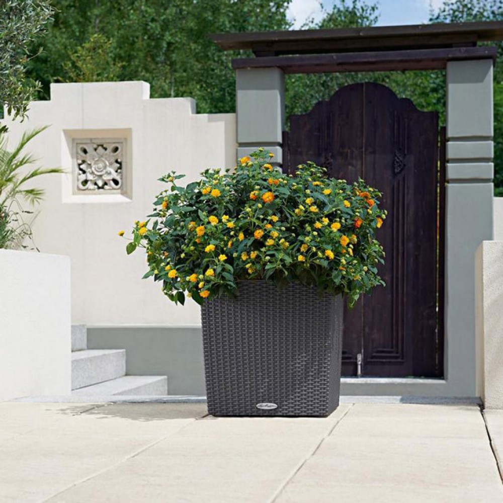 Flowerpot Lechuza CUBE Cottage 40
