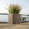 Flowerpot Lechuza CUBE Cottage 40