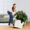 Flowerpot Lechuza CUBE Cottage 50