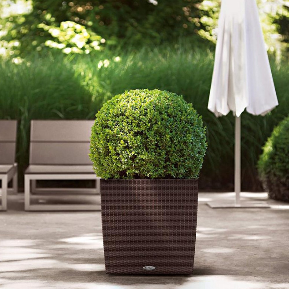 Flowerpot Lechuza CUBE Cottage 50