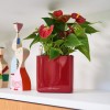 Вазон Lechuza CUBE Glossy 14