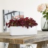 Вазон Lechuza CUBE Glossy Triple