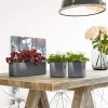 Вазон Lechuza CUBE Glossy Triple