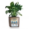 Flowerpot Lechuza CUBE Premium 30