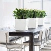 Flowerpot Lechuza CUBE Premium 30