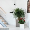 Flowerpot Lechuza CUBE Premium 30