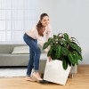 Flowerpot Lechuza CUBE Premium 40