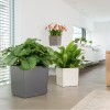 Flowerpot Lechuza CUBE Premium 40