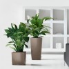 Flowerpot Lechuza CUBE Premium 40