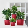 Flowerpot Lechuza CUBE Premium 40