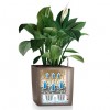 Flowerpot Lechuza CUBE Premium 40