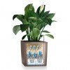 Flowerpot Lechuza CUBE Premium 50