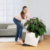 Flowerpot Lechuza CUBE Premium 50