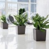 Flowerpot Lechuza CUBE Premium 50