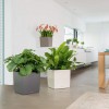 Flowerpot Lechuza CUBE Premium 50