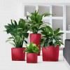 Flowerpot Lechuza CUBE Premium 50