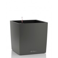 Flowerpot Lechuza CUBE Premium 50