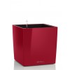 Flowerpot Lechuza CUBE Premium 50