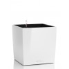 Flowerpot Lechuza CUBE Premium 50
