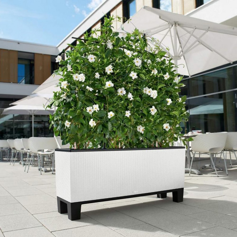Вазон Lechuza TRIO Cottage 40